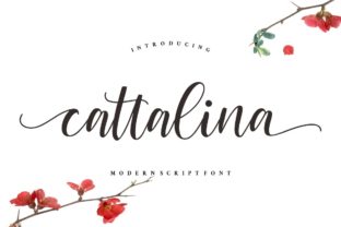 Cattalina: A Modern Handwritten Typeface for Editorial Design