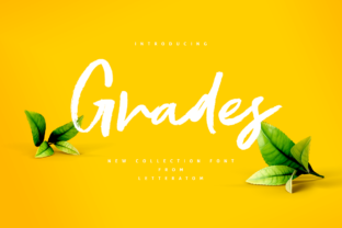 Grades Font: A Handwritten Typeface for Campaigns