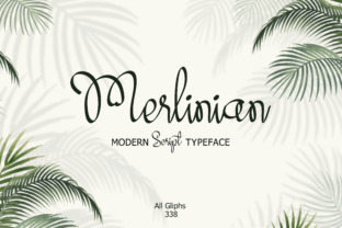 Merlinian: A Designer’s Honest Review