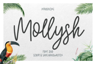 Mollysh: A Whimsical Handwritten Font for Branding