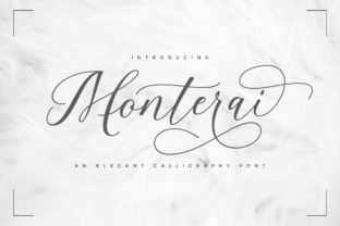 Monterai Font Review for Campaign Design