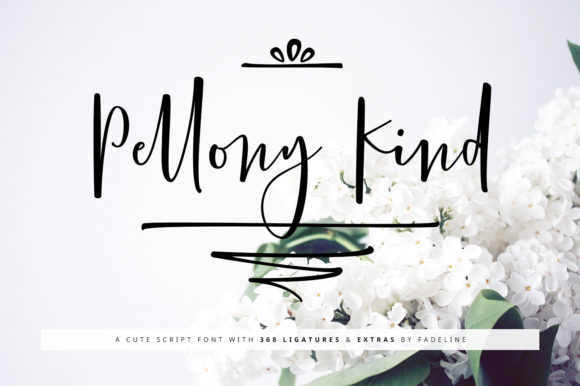 Pellony Kind: A Modern Handwritten Typeface for Web Design
